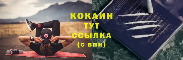 винт Касимов