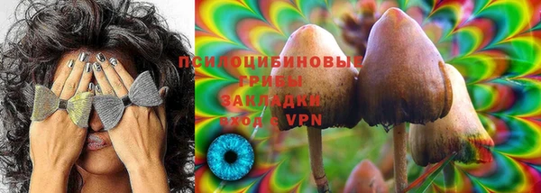 сатива Верхний Тагил