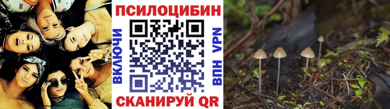Псилоцибиновые грибы Psilocybine cubensis  Луховицы 